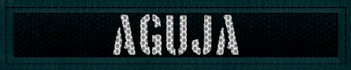 Aguja