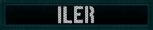 Iler